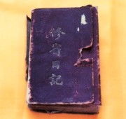 The Venerable Master's Diary of Cultivation, written at age 16