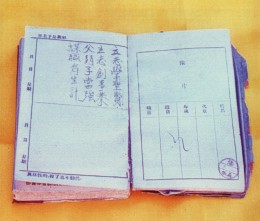The Venerable Master's Diary of Cultivation, written at age 16